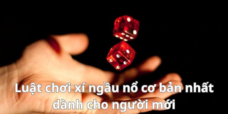 Tận dụng mọi chương trình khuyến mãi để được gia tăng vốn cược
