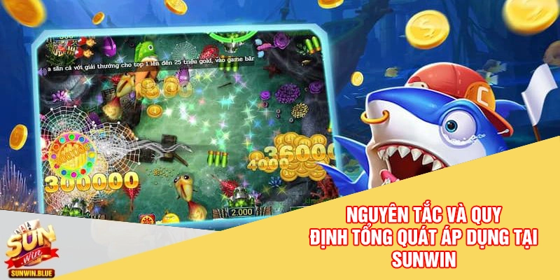 Nguyên tắc và quy định tổng quát áp dụng tại Sunwin